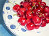 cherries.jpg (29608 bytes)