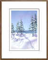 snowdrifttrees2.jpg (25674 bytes)