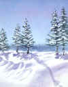 snowdrifttrees.jpg (27741 bytes)